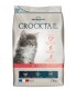 Crocktail Kitten 2kg