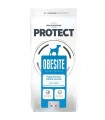 PROTECT OBESITE 12kg
